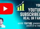 Your YouTube Subscribers: Real or Fake? Photo: RMN News Service